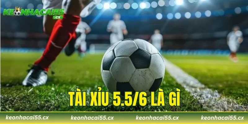 Tài Xỉu 5.5/6 Là Gì? 3 Chiến Thuật Bắt Kèo Hiệu Quả Nhất